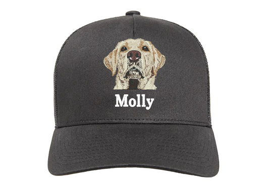 Labrador Retriever Keps