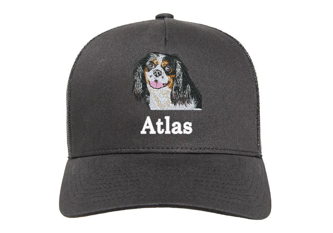 Cavalier King Charles Spaniel Keps